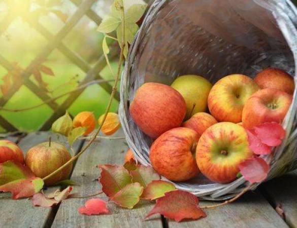 Niewiarygodne właściwości jabłka i jak możesz z nich skorzystać